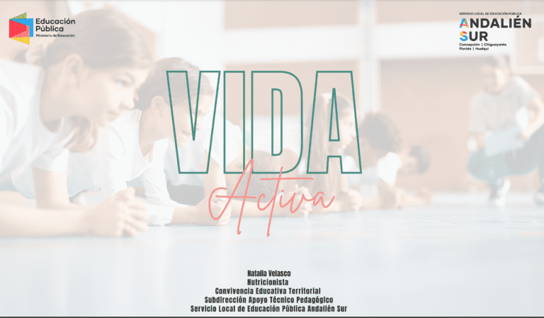 Promoción de vida saludable y calidad de vida (Vida activa)